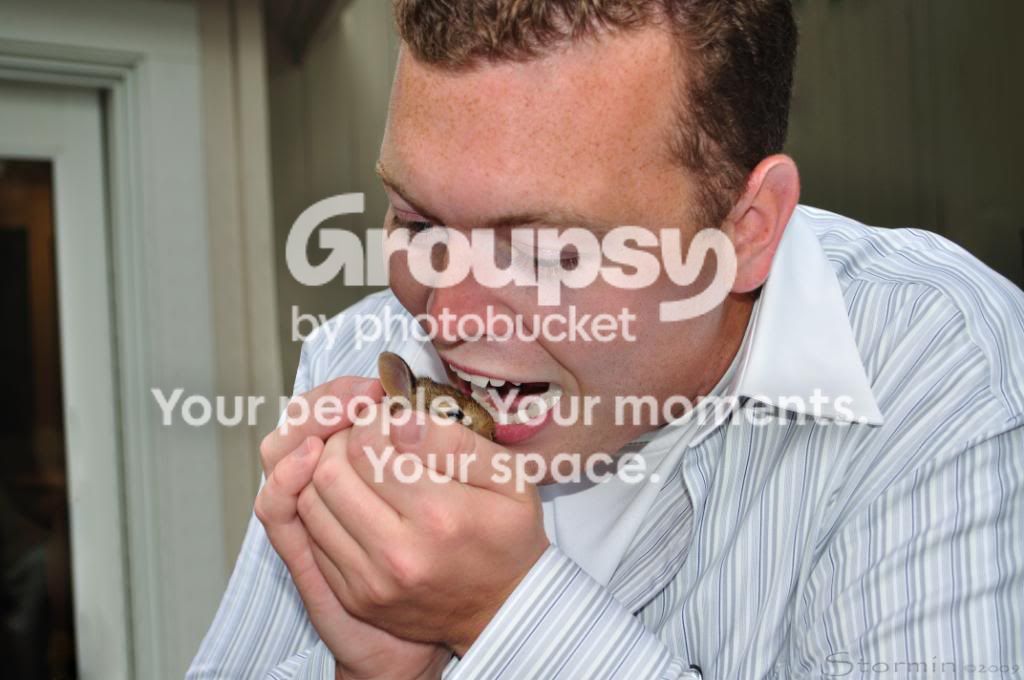 DevourABunny.jpg