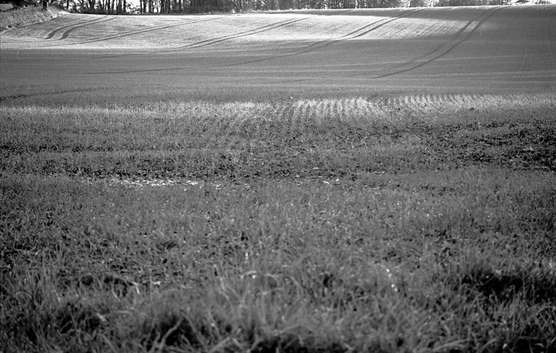 img007-L.jpg