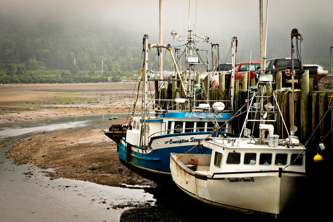 low_tide_by_pianoblack97-d463sqg.jpg