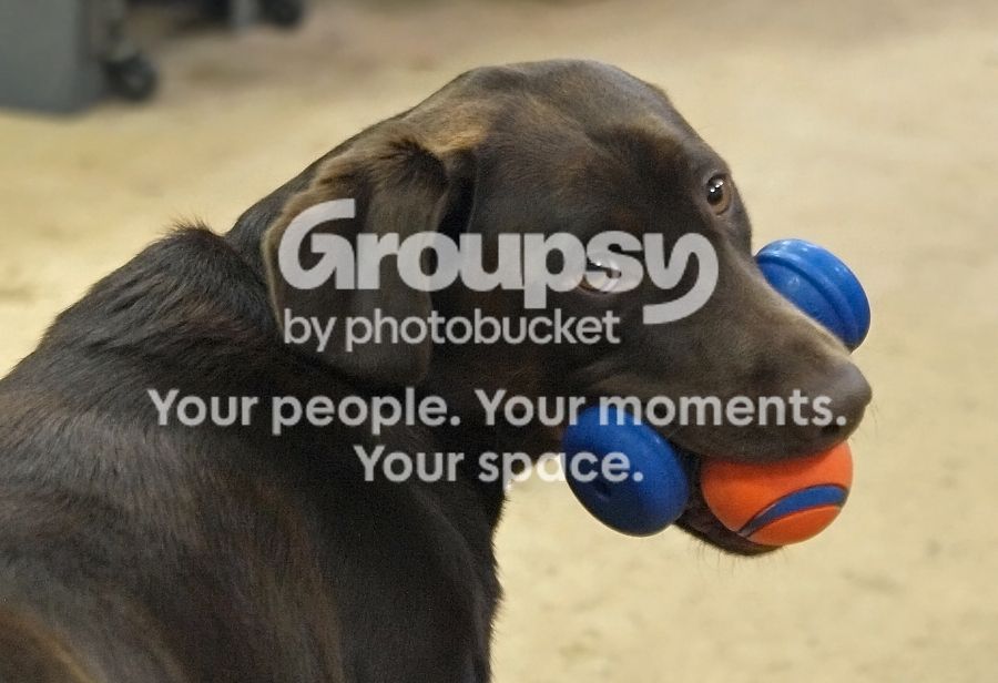 Rubysballscloser.jpg