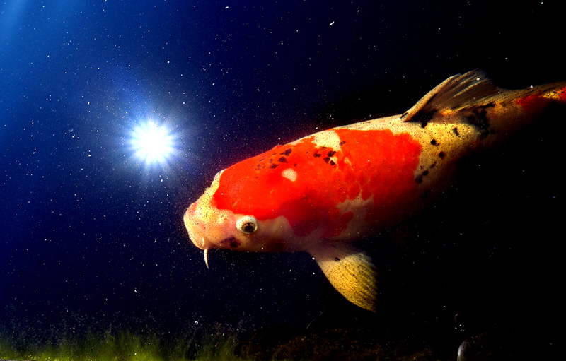 _DSF5564-L.jpg