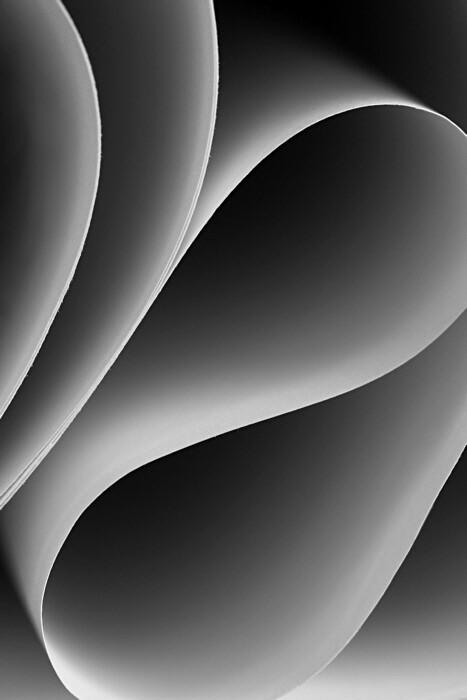 6269018915_fbef91e9c4_b.jpg