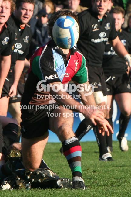 IMG_7561ARugbyHeadonHisSholders.jpg
