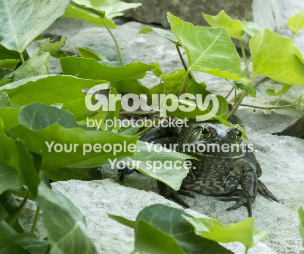 SuspectNumber1.jpg