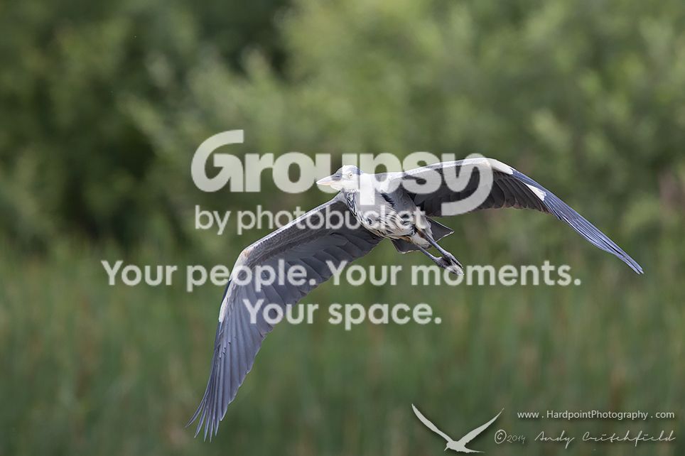 _HPP0979_zps0c5d759d.jpg