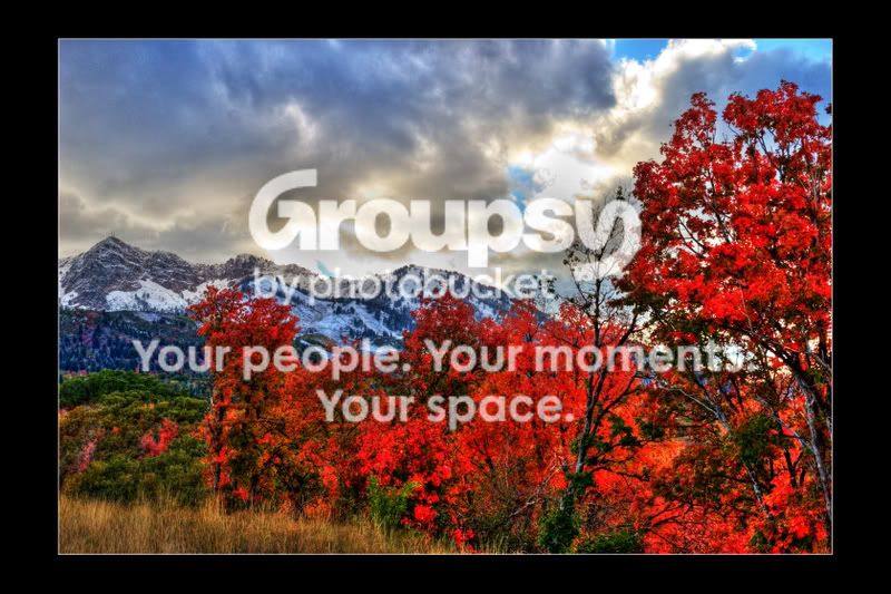IMG_1236acopy.jpg