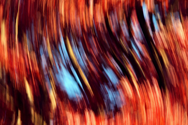 10632565585_74b283450b_z.jpg