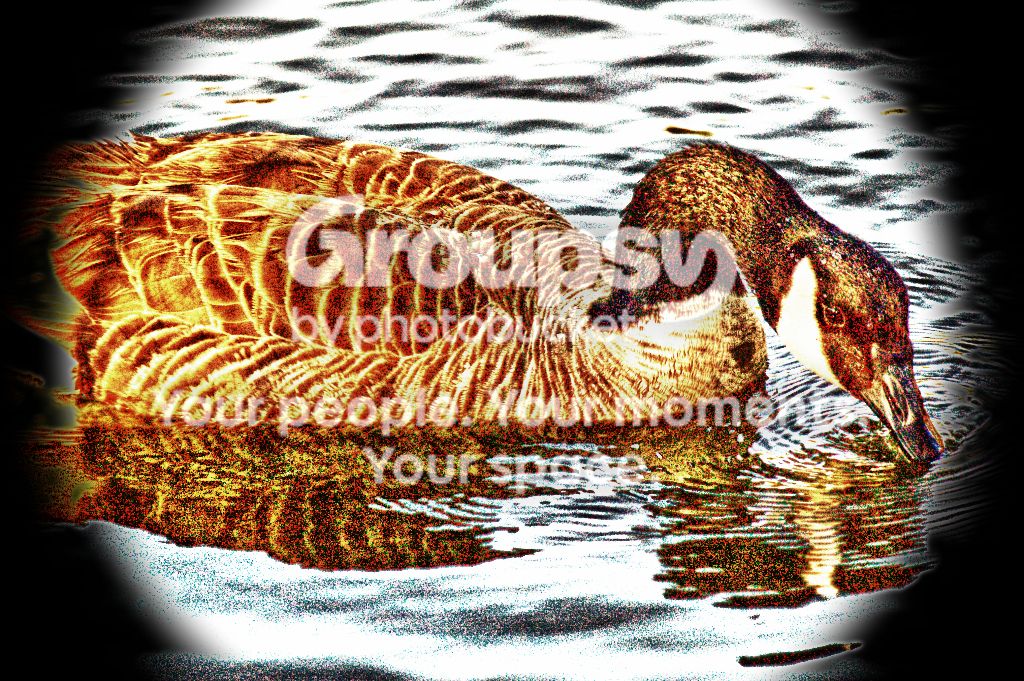 CanadianG2_zpsa5fc6cfe.jpg