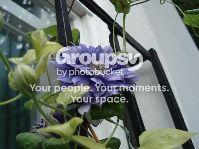 DSC09022.jpg