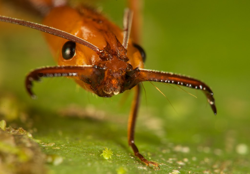 5803395008_5c30f7bee2_b.jpg