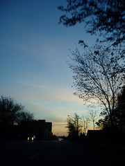 319283042_71f9105527_m.jpg
