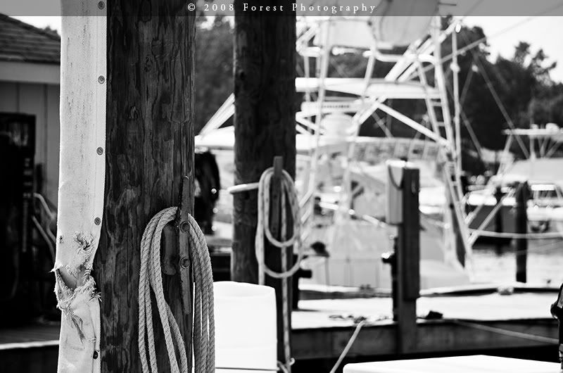 bw-marina.jpg