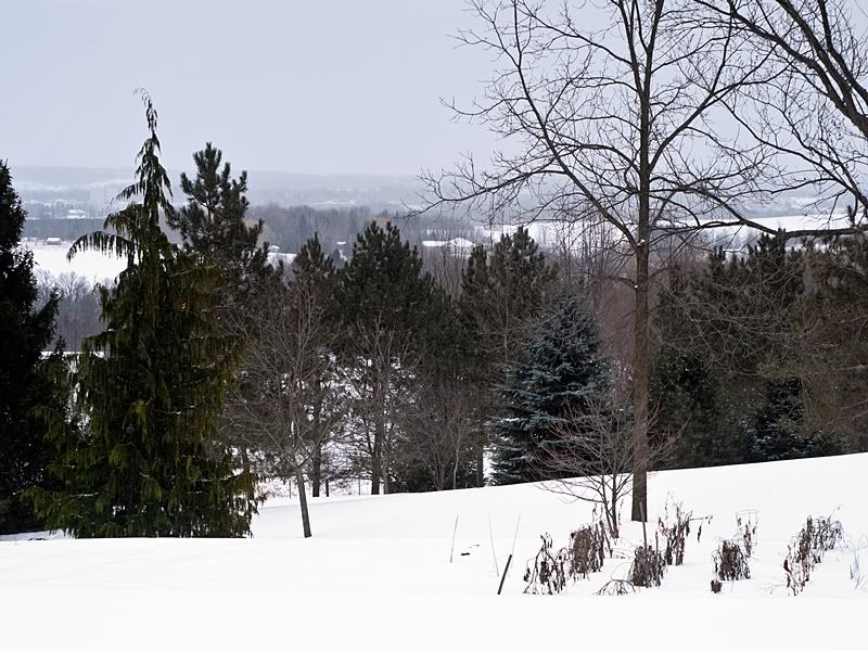P1050377sm.jpg