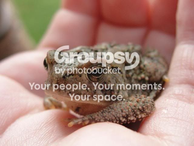 jayjayphotos007.jpg