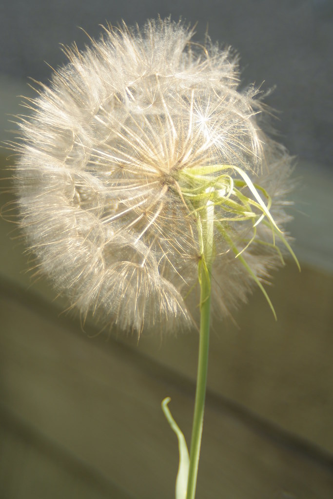 5885019906_d785d7fe59_b.jpg