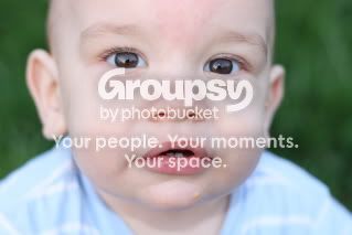 IMG_3677jpgMckaleupclosewebsize.jpg