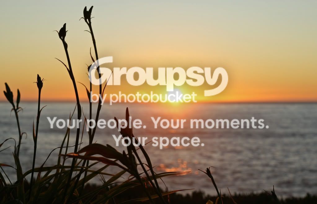 sunset301b.jpg