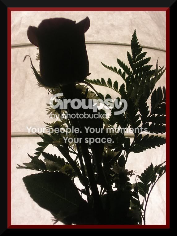 Silouette.jpg