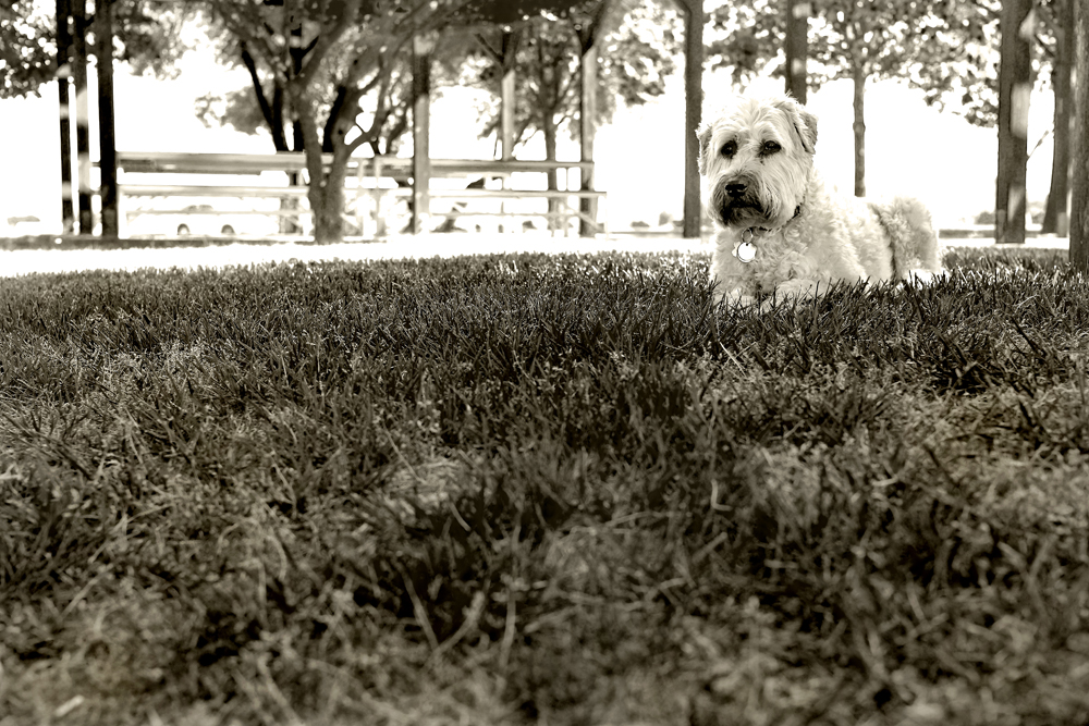 DSCF2582.jpg
