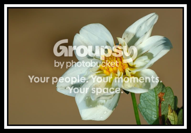 2008-05-31_3web.jpg