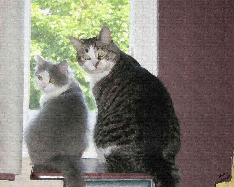 2catssmall.jpg