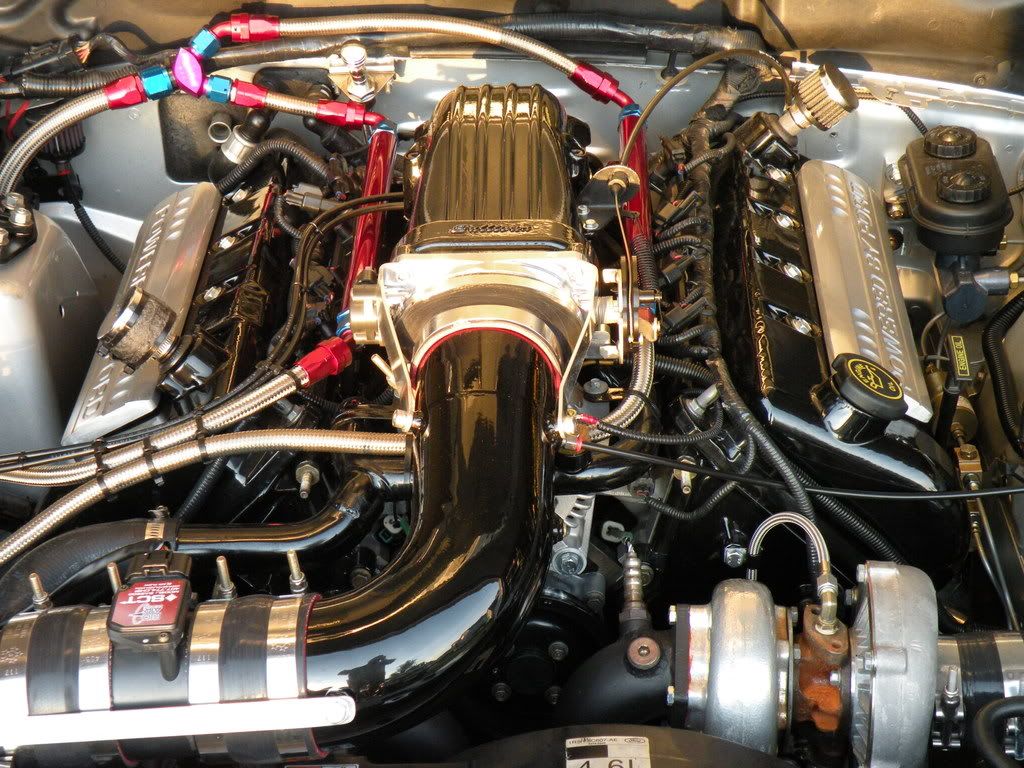 DSCN5429.jpg