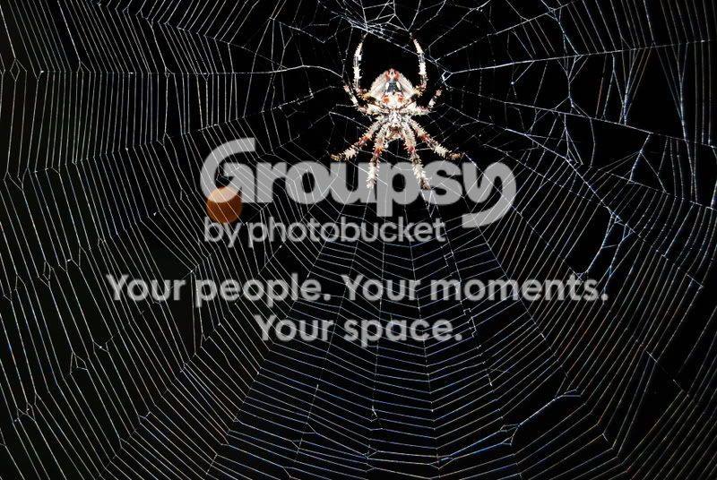 FirstPictures.jpg