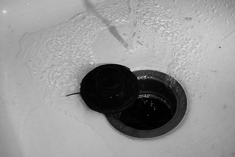 DSC_9066.jpg