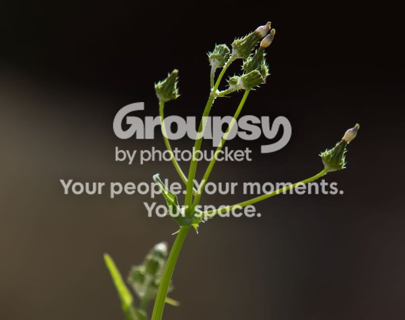 IMG_8579-Edit.jpg