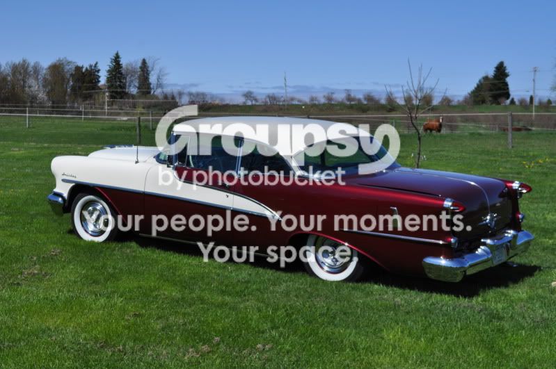 myLucille015.jpg