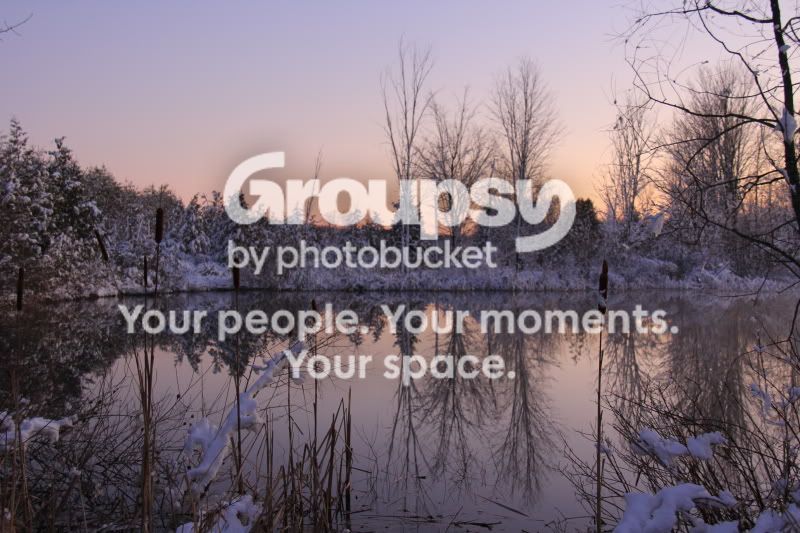 IMG_2398ex.jpg