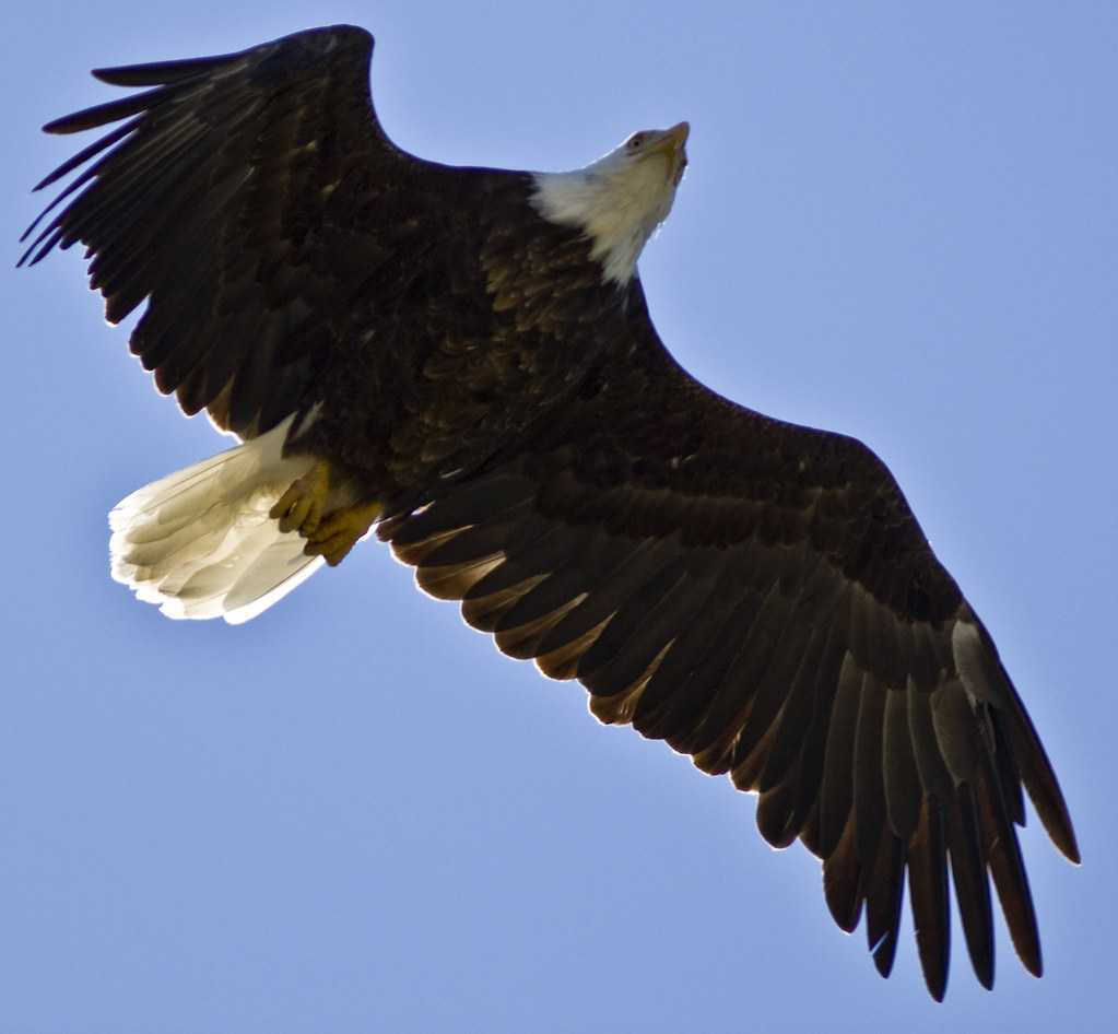 6125463169_4d4a959f0d_b.jpg