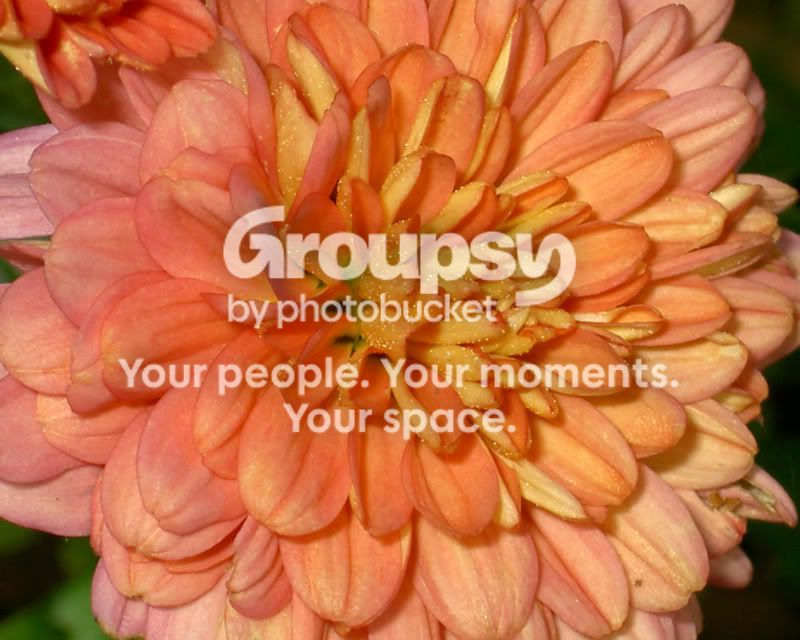 PICT0841x.jpg