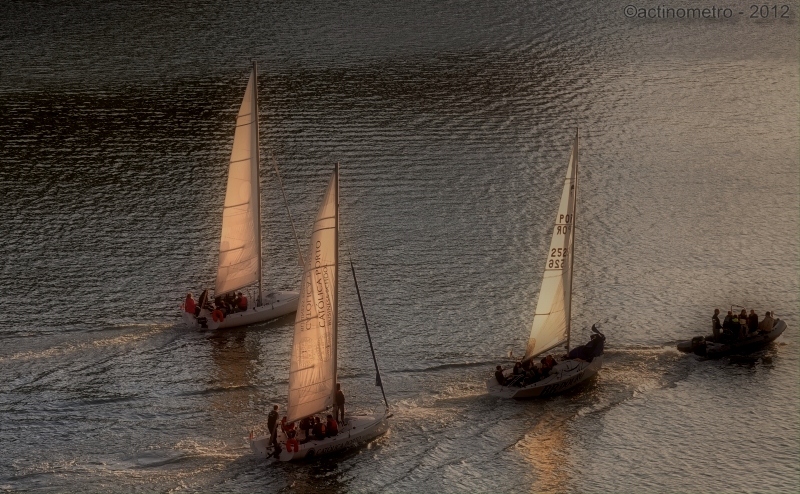 8271892419_5d4e517847_c.jpg