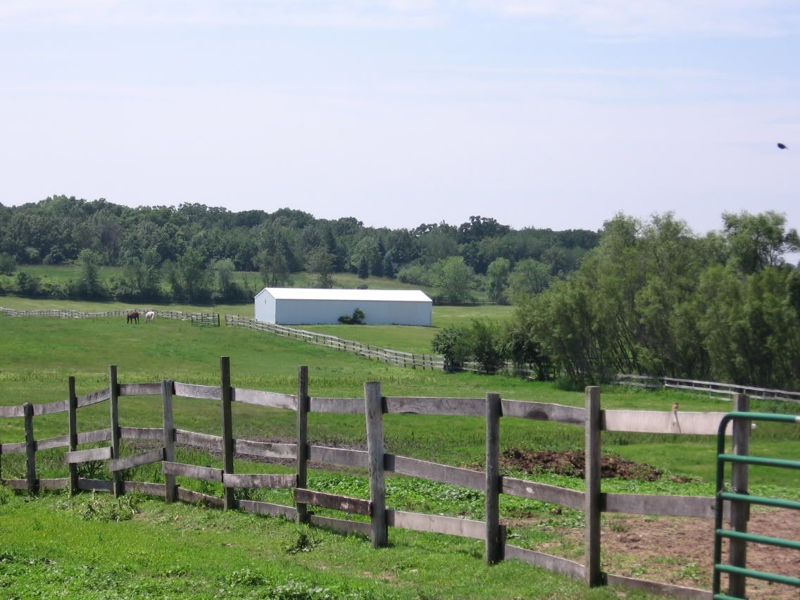 Field6-17-06.jpg