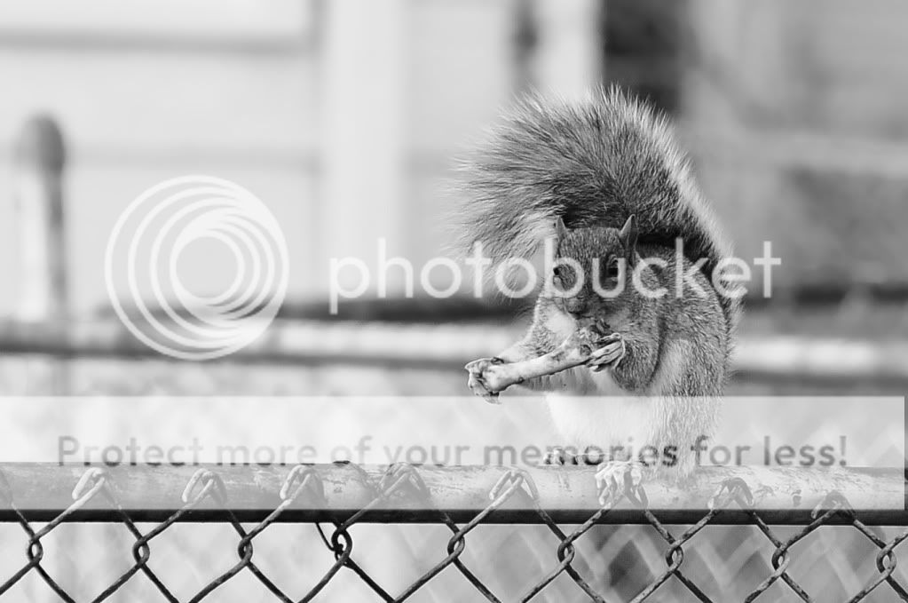 DSC_1912.jpg