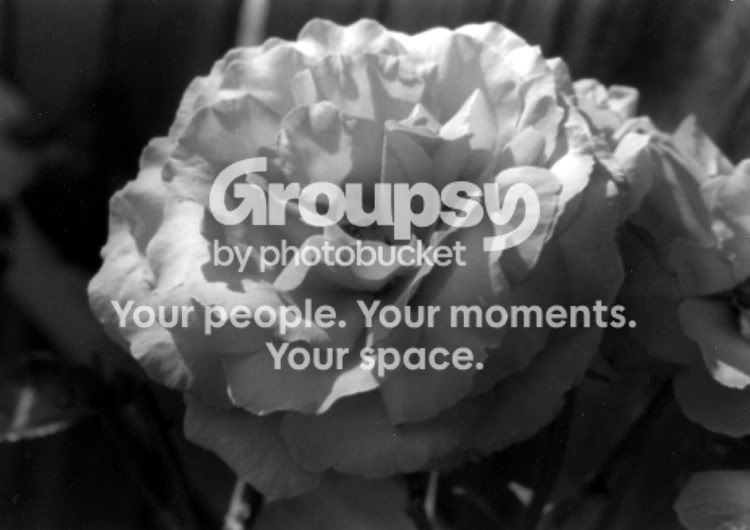File0091-1small.jpg