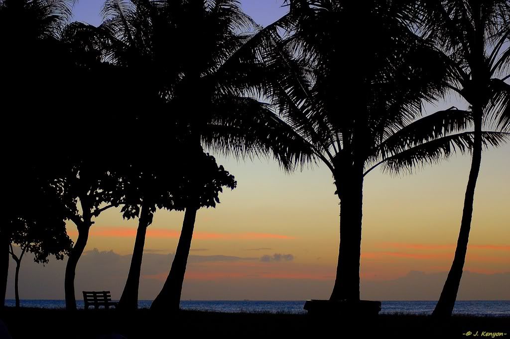 DSLRPointpanicWorkSunset263.jpg