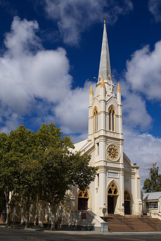 DSC_8714-1.jpg