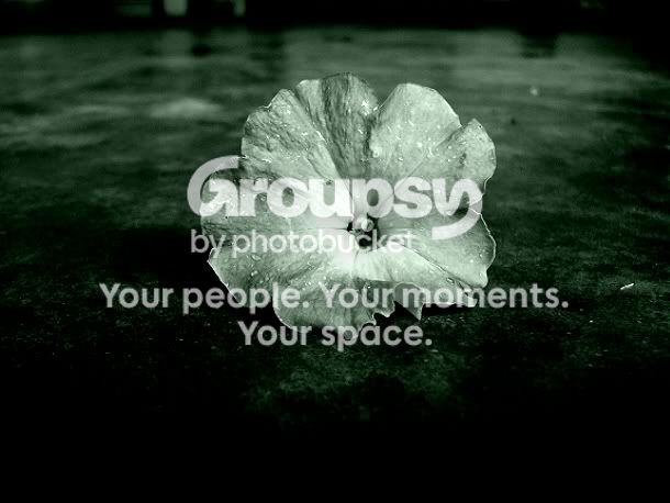 greenflower.jpg
