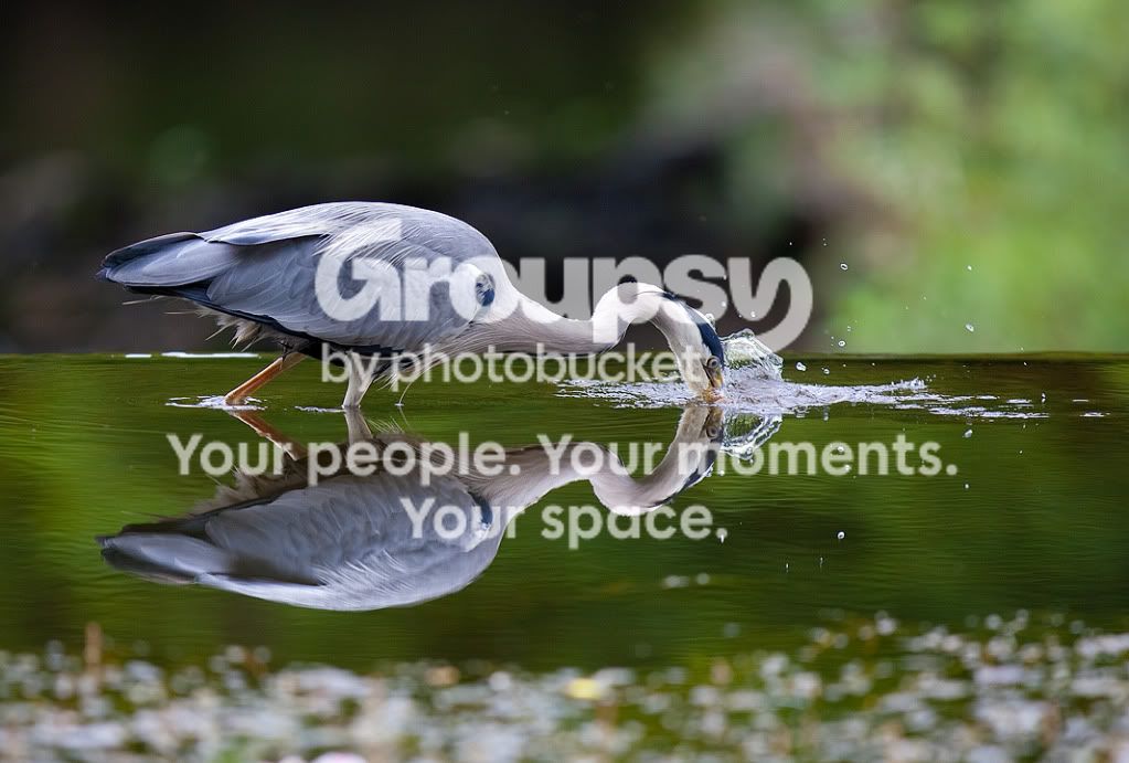 _H0X3507.jpg