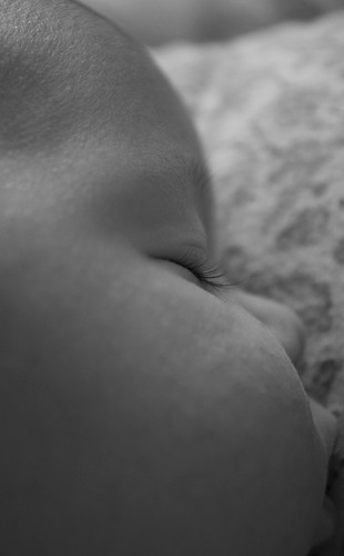 8201105047_014310a9d6.jpg