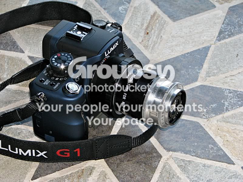 IMG_4068sm.jpg