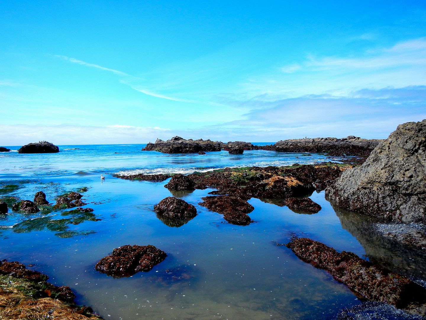 bluewaterandsky.jpg