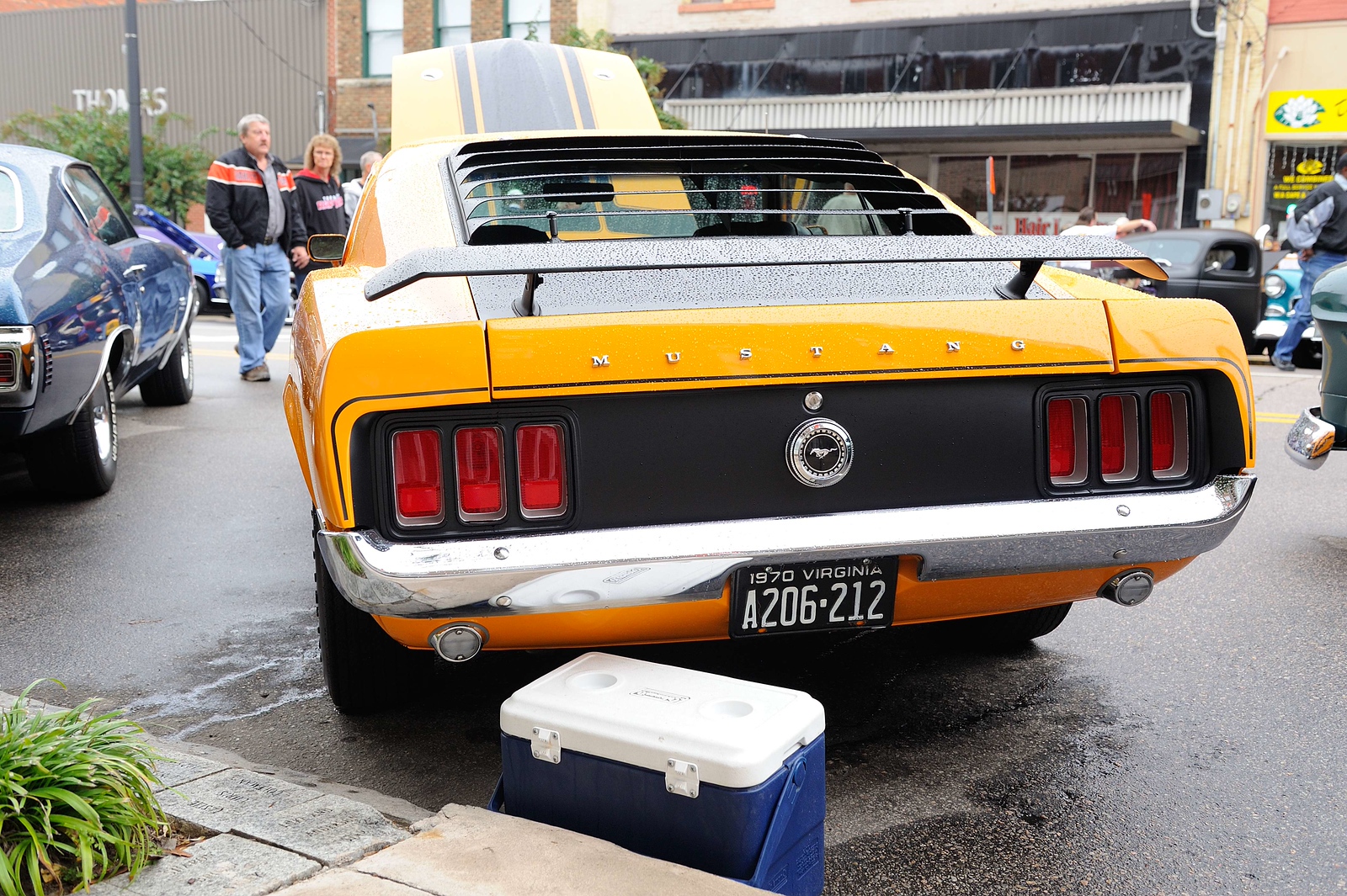 DSC_00061-X3.jpg