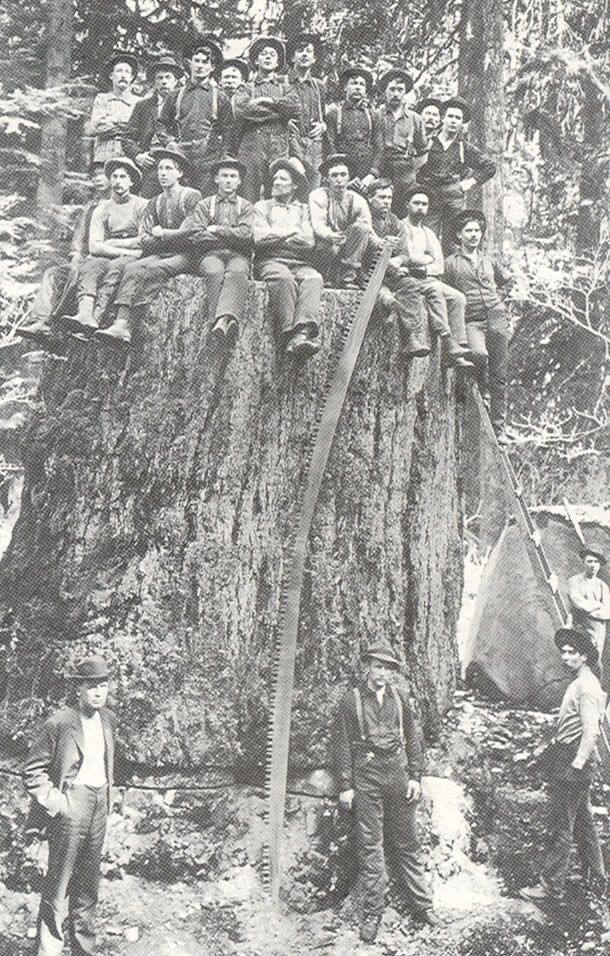 scan0002.jpg