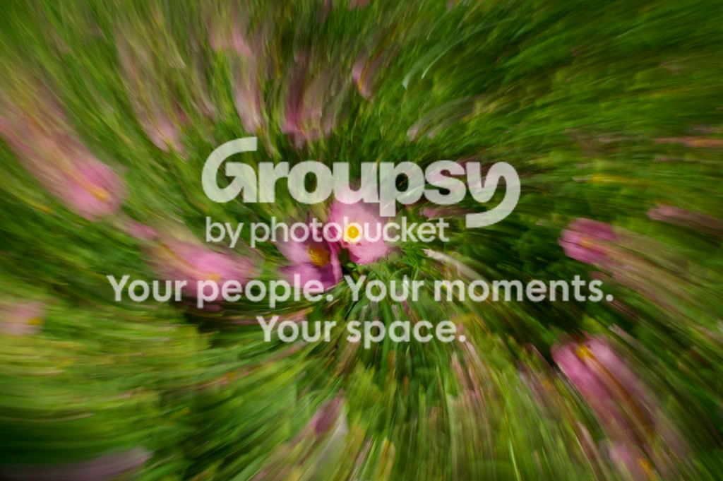 ZoomTwist1.jpg