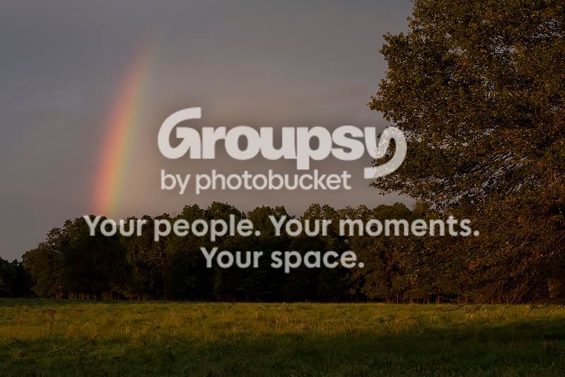Rainbow_1_800.jpg