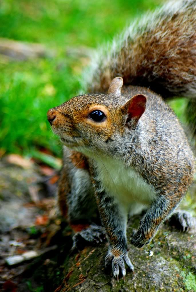 DSC_03592.jpg
