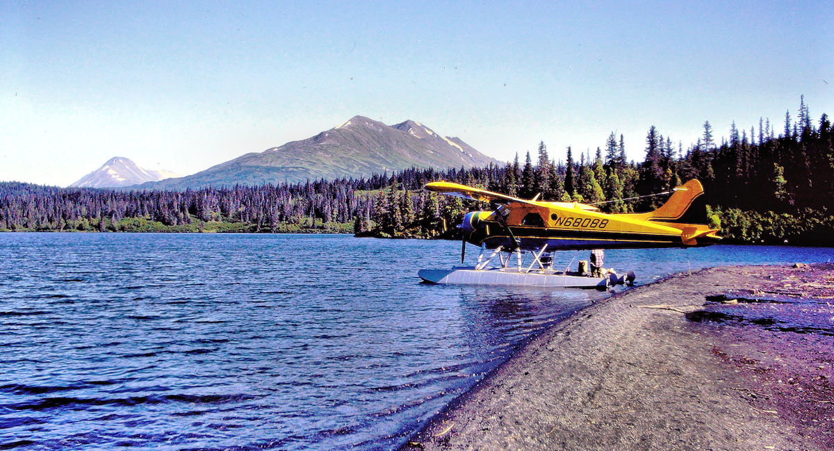 PICT0595a.jpg